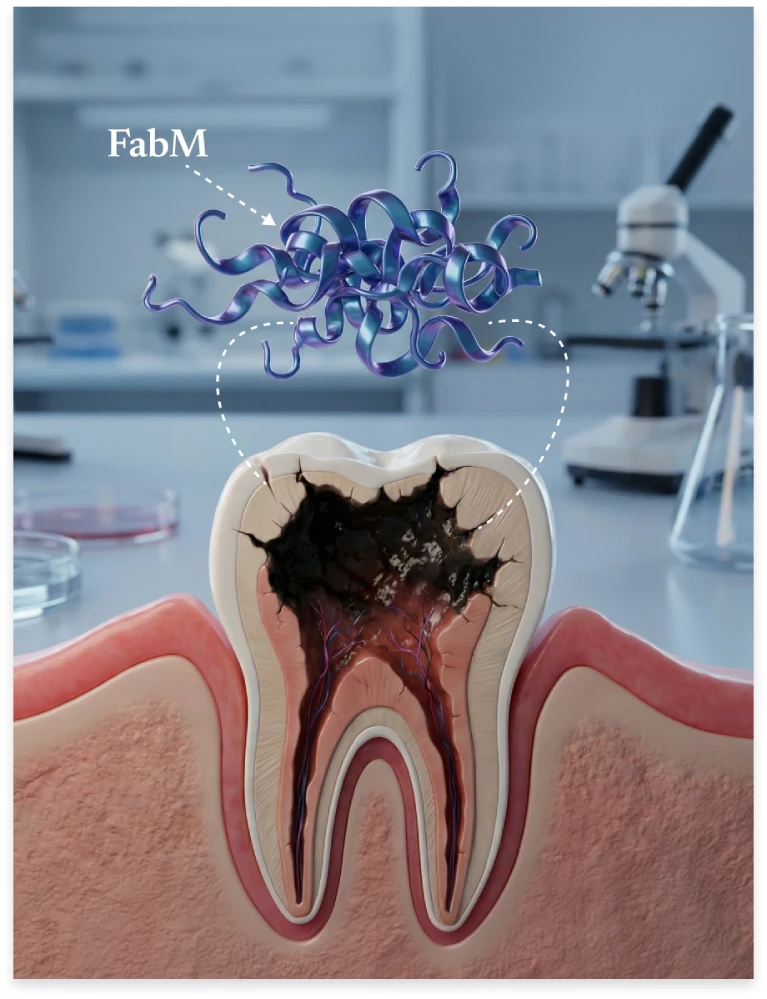 Diagram showing the FabM protein shield above a tooth with bacterial decay